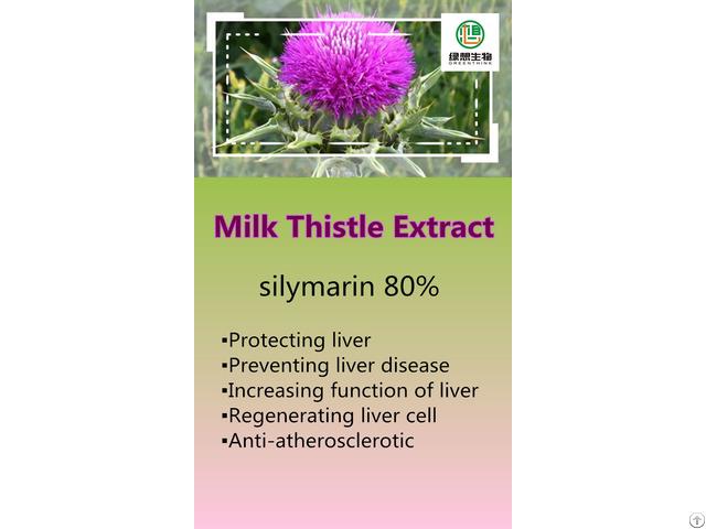 Milk Thistle Extract