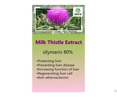 Milk Thistle Extract