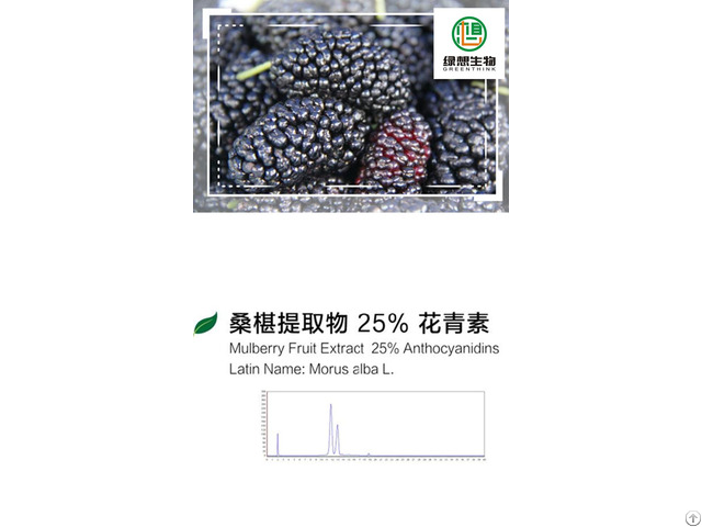 Mulberry Extract