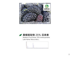 Mulberry Extract