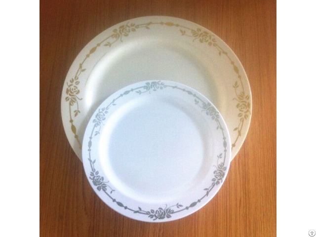 Plastic Dinner Plate