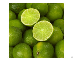 Fresh Lime