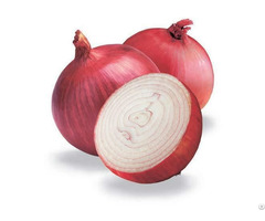 Fresh Red Indian Onion