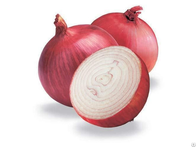 Fresh Red And White Indian Onion