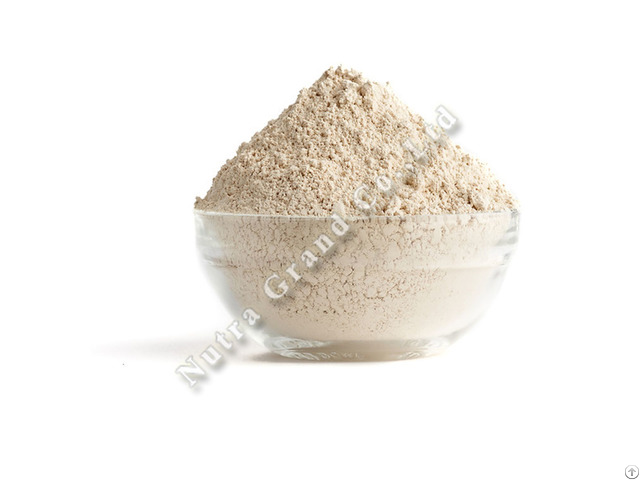 Banana Powder Freeze Dried Thailand