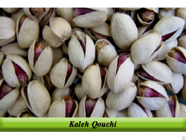 Kale Quchi