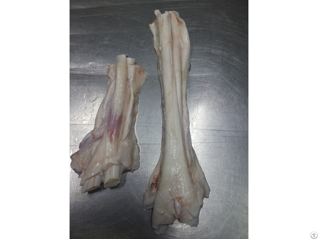 Beef Flexor Tendon