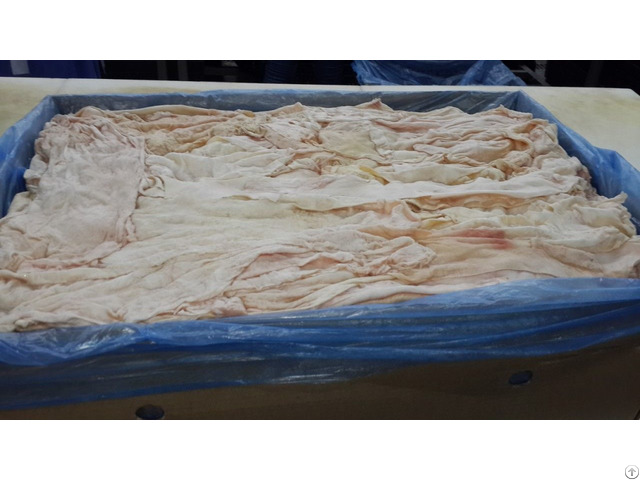 Beef Tunnic Tissue