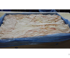 Beef Tunnic Tissue