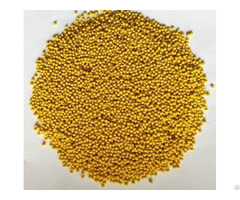Poly Coated Slow Release Fertizer