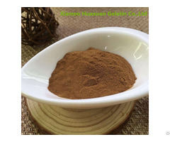 Reishi Mushroom Extract Ganoderma Lucidum Polysaccharides