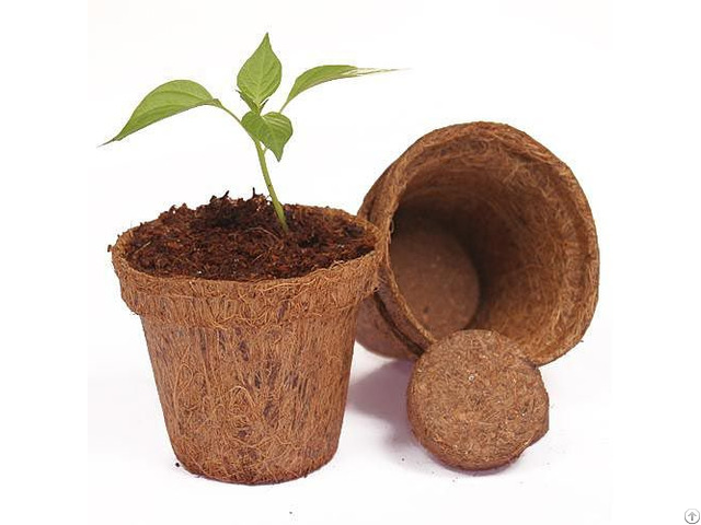 Coir Pots Small Round