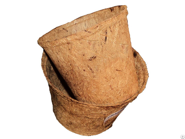 Medium Coconut Fiber Pots