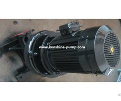 Lw Wl Vertical Sewage Pump For Waste Water