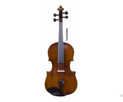 Violin Hbvl E900