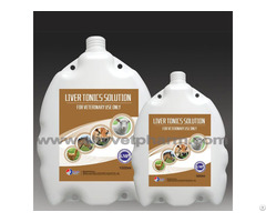 Liver Tonic Solution