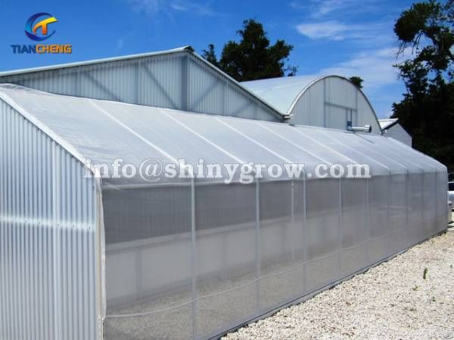 Greenhouse Insect Screen For High Planting Percent And Seedling Quality