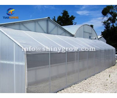 Greenhouse Insect Screen For High Planting Percent And Seedling Quality
