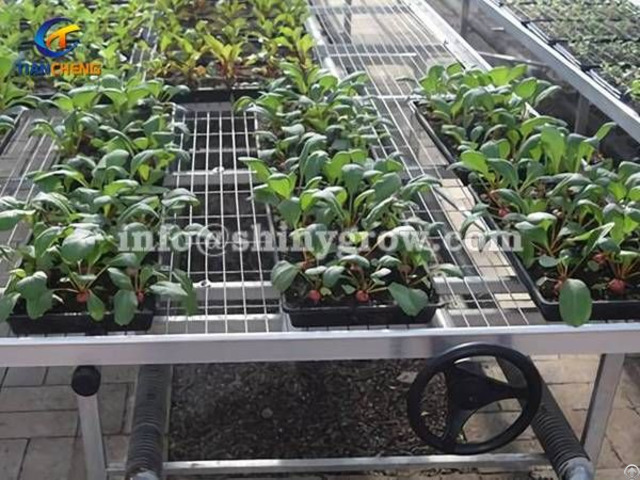 Welded Wire Mesh Bench Top Amp