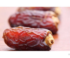 Piarom Dates