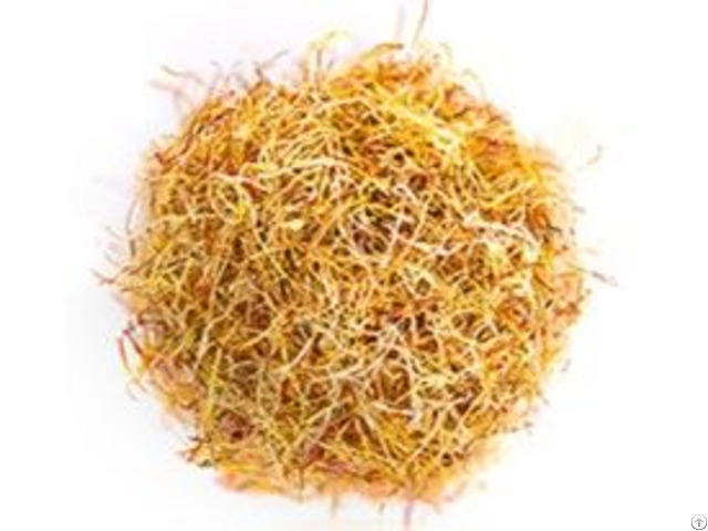 White Saffron Konj