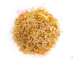 White Saffron Konj