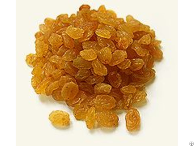 Golden Raisin