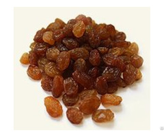 Sultana Raisin