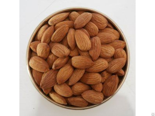 Healthy Almonds Badam Wholesaler