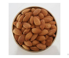 Healthy Almonds Badam Wholesaler