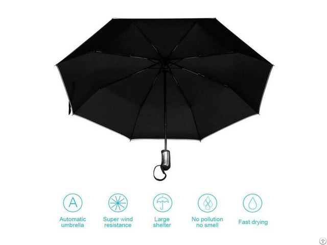 Folding Umbrella