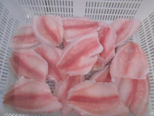 Frozen Tilapia Fillet Origin China