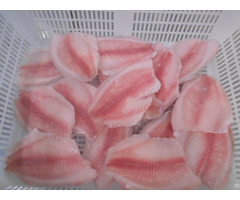 Frozen Tilapia Fillet Origin China