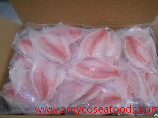 Frzoen Tilapia Fillet At Low Price