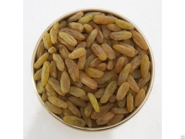 Raisin Wholesaler In Mumbai