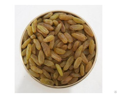 Raisin Wholesaler In Mumbai