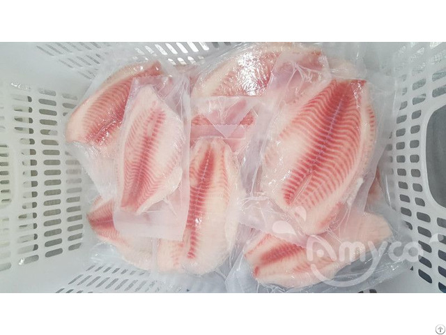 Beautuful Tilapia Fillet Supply