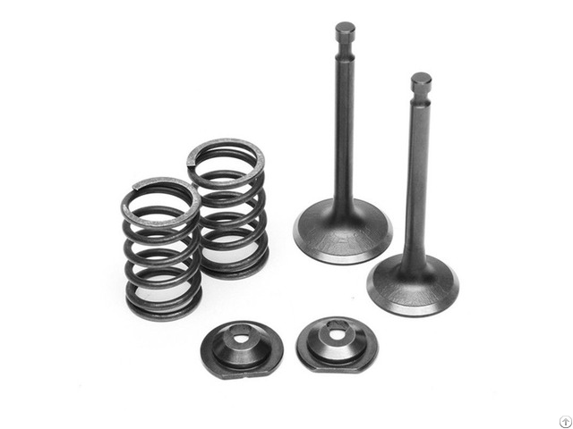 Single Cylinder Changchai Changfa Jiangdong Diesel S195 Engine Valve