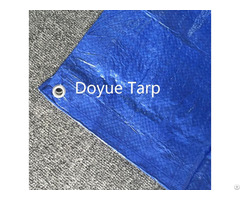 Blue Pe Tarpaulin Sheet