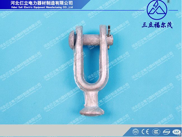 Socket Clevis Eye China
