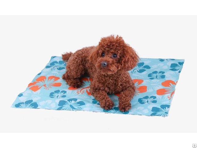 Discount Best Quality With Lowest Price Pet Supplies Products Cooling Mat Cushion