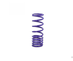 Motorcycle Front Fork Spring