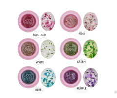 3d Dried Flower Gel Polish Decoration Transparent