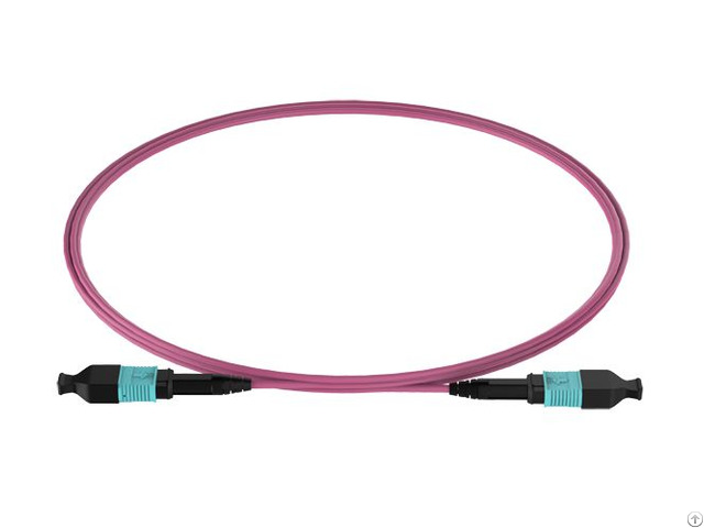 Mpo Om3 12 24 Trunk Cable