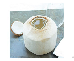 Fresh Young Coconut Natural