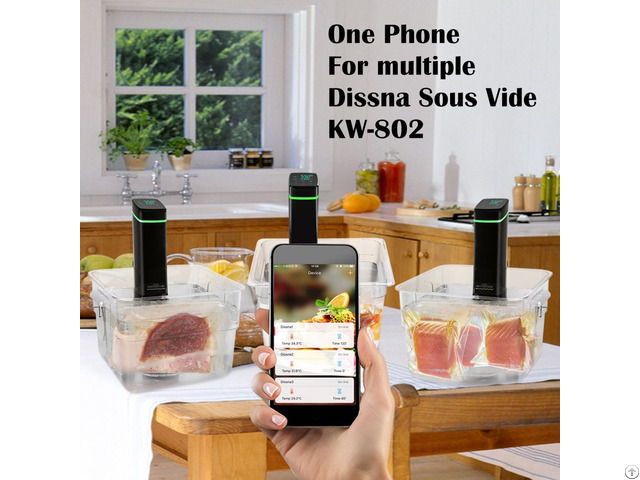 Factory Newest Sous Vide With Waterproof And Wifi