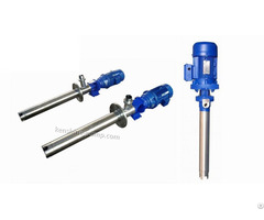 Vs Vertical Mount Single Screw Pump