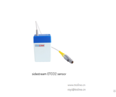 Sidesteam Etco2 Module