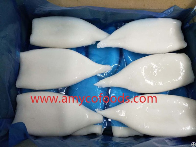 Frozen Squid Tube Origin China