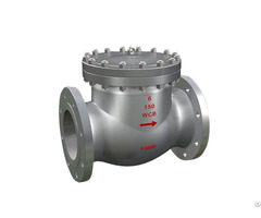 The Swing Check Valve